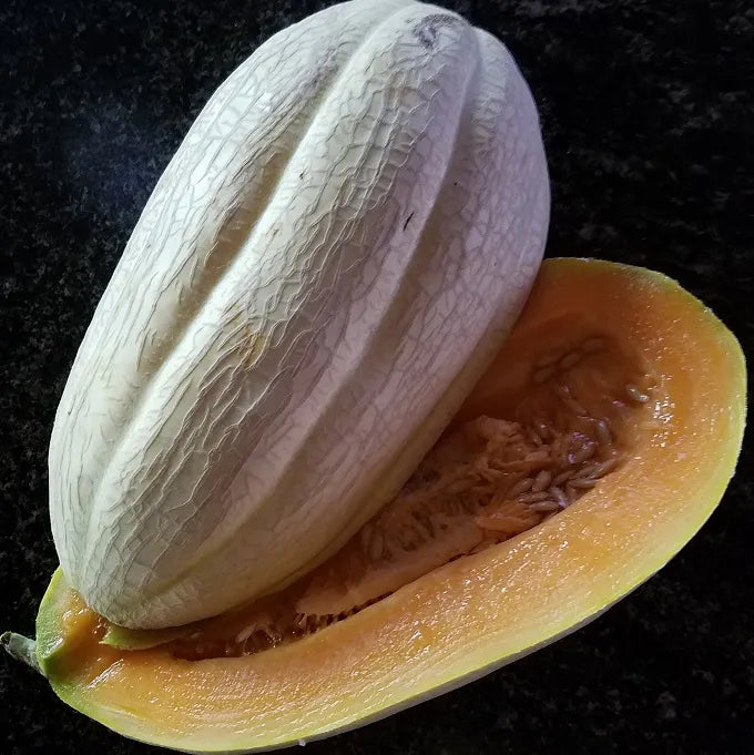 Semillas Agroecológicas de: Melón Tennesse