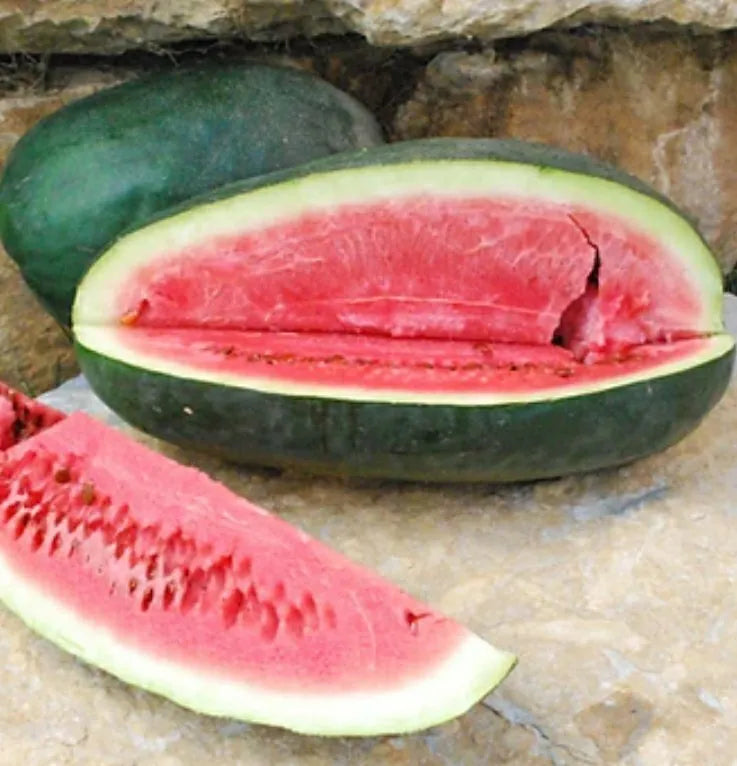 Semillas Agroecológicas de: Sandía Ancient