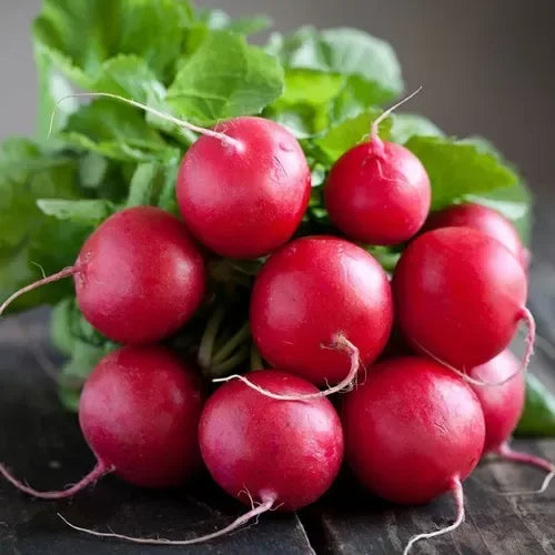 Semillas Agroecológicas de: Rabanito Cherry