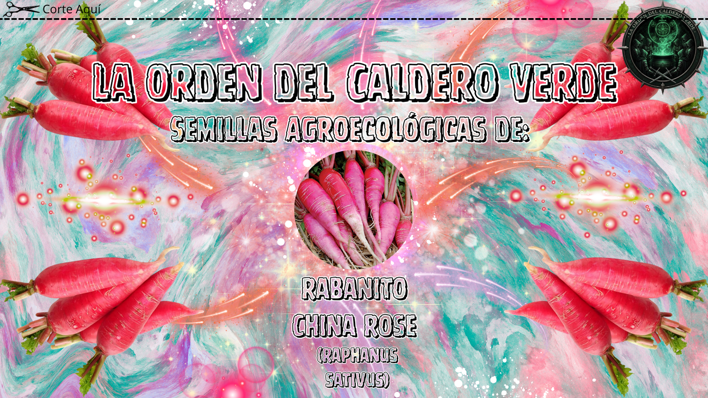 Semillas Agroecológicas de: Rabanito China Rose