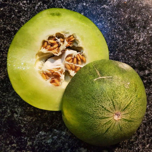 Semillas Agroecológicas de: Melón Delicata Verde