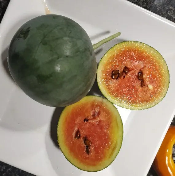 Semillas Agroecológicas de: Sandía Mountain Tail