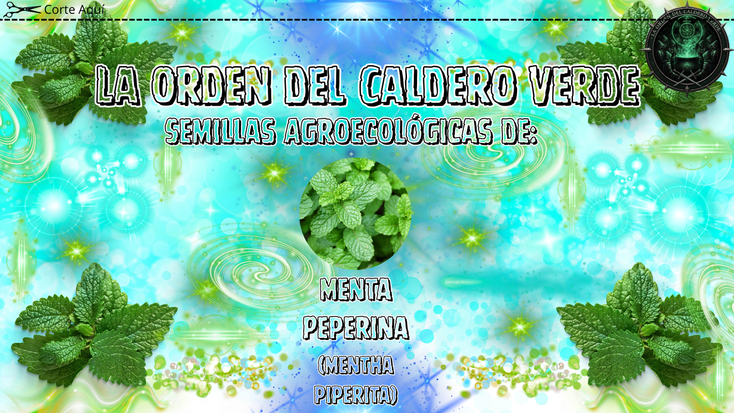 Semillas Agroecológicas de: Menta Peperina