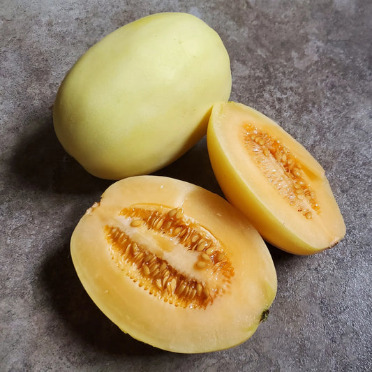 Semillas Agroecológicas de: Melón Dragon Egg