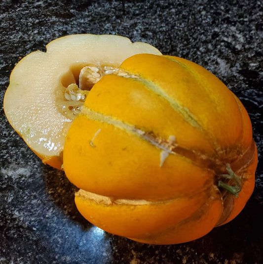 Semillas Agroecológicas de: Melón Sweet Chino