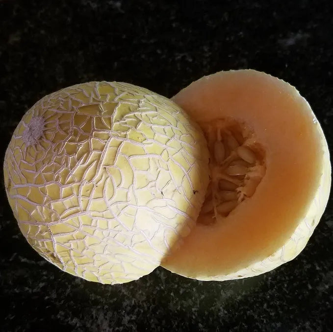 Semillas Agroecológicas de: Melón Honeymoon