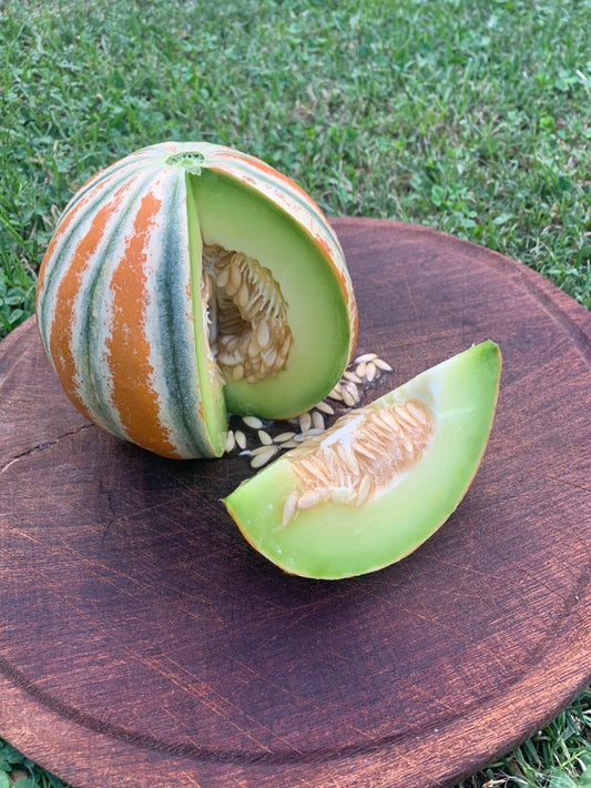 Semillas Agroecológicas de: Melón Kajari