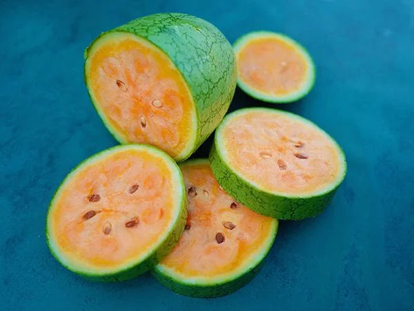 Semillas Agroecológicas de: Sandía Kaho Orange