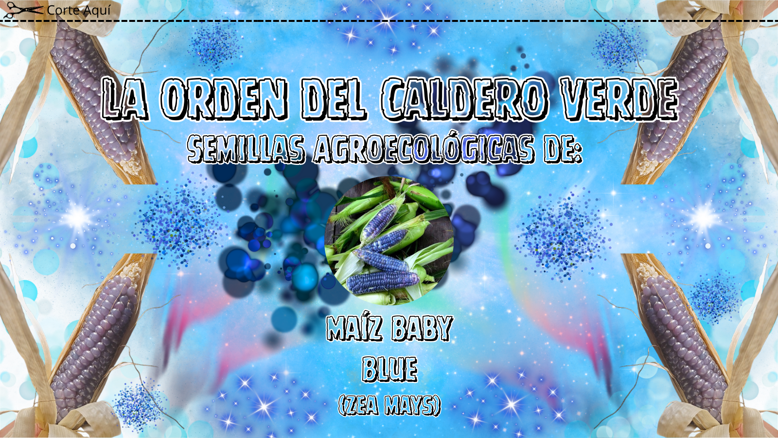 Semillas Agroecológicas de: Maíz Baby Blue