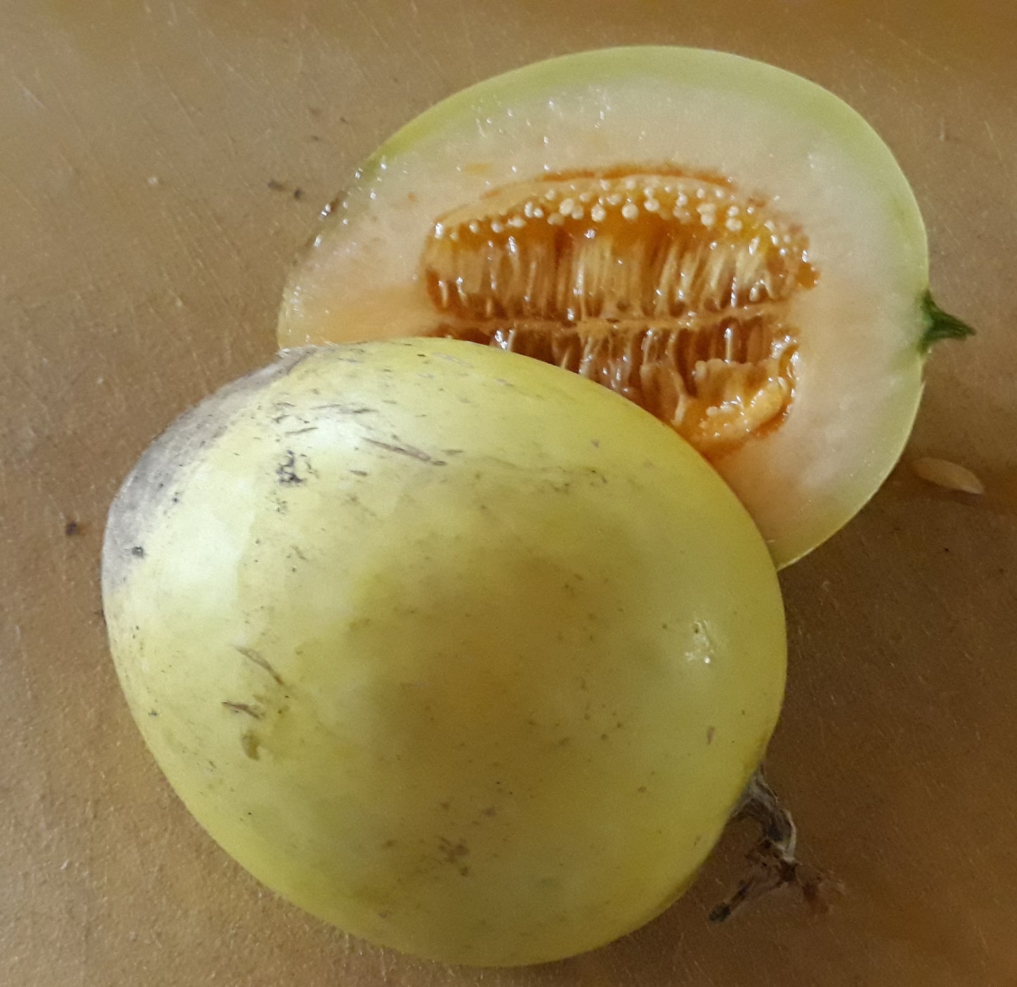 Semillas Agroecológicas de: Melón HoneyDo