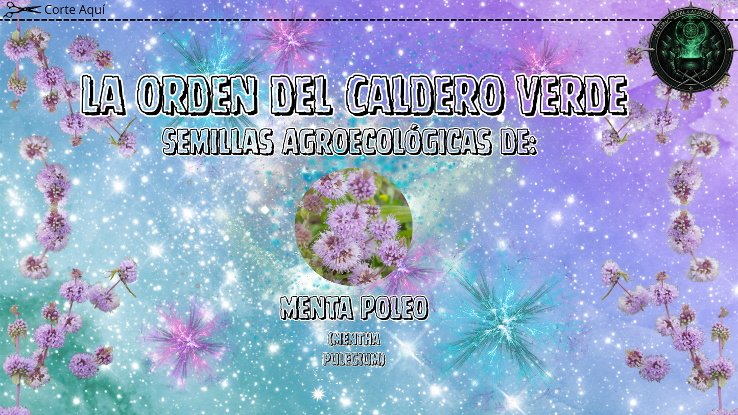 Semillas Agroecológicas de: Menta Poleo