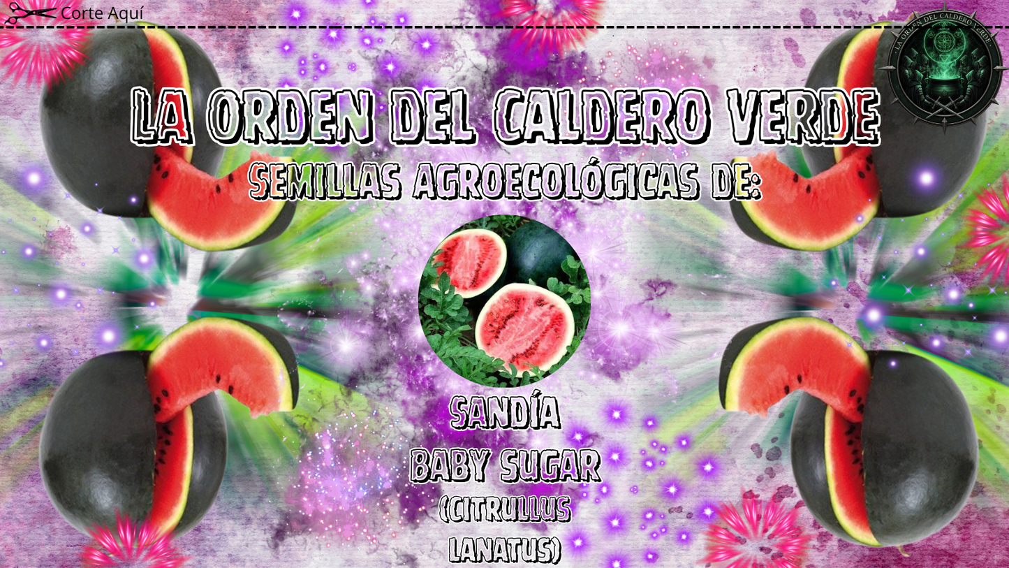Semillas Agroecológicas de: Sandía Baby Sugar