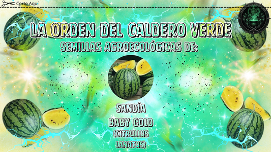 Semillas Agroecológicas de: Sandía Baby Gold