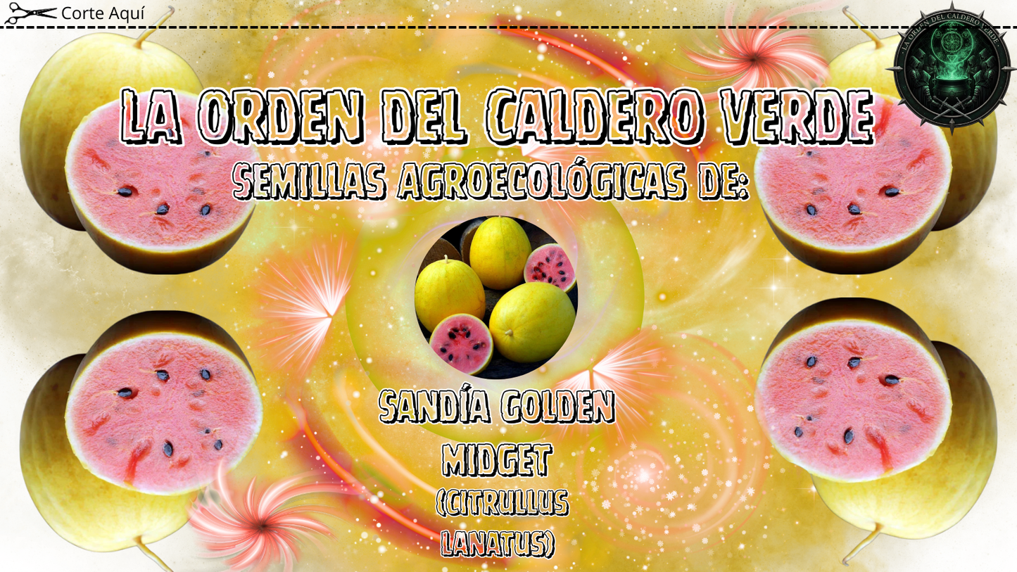 Semillas Agroecológicas de: Sandía Golden Midget
