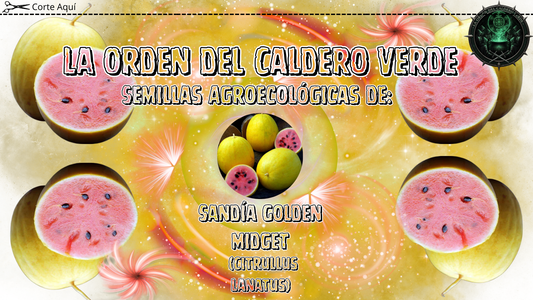 Semillas Agroecológicas de: Sandía Golden Midget