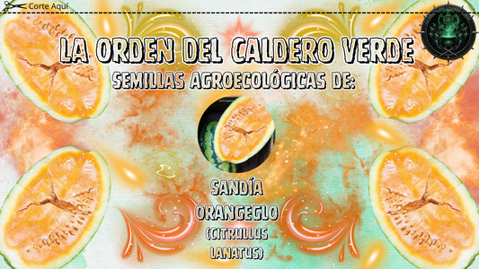 Semillas Agroecológicas de: Sandía Orangeglo