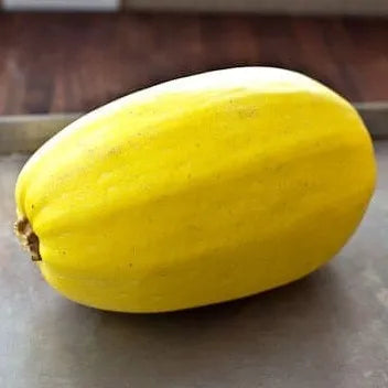 Semillas Agroecológicas de: Zapallo Spaguetti